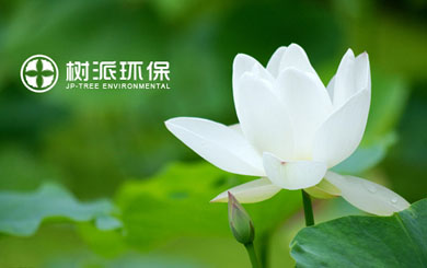 瀘州樹(shù)派環(huán)?？萍加邢薰?/></p>
                    <p class=
